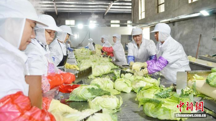 所有项目设计深度嵌入联农带农机制，确保发展红利惠及广大农民。繁峙县农业农村局供图