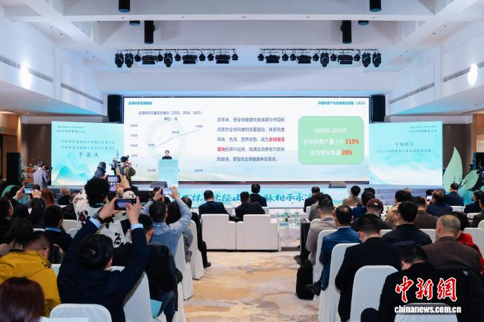 于英杰作《2025中国抹茶产业发展情况简报》。余杭区融媒体中心供图