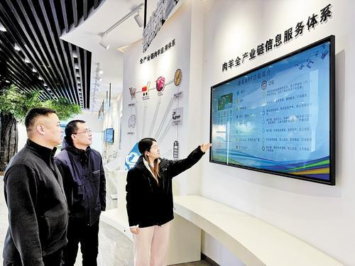     12月5日，在唐县南店头乡的肉羊产业链信息服务中心，工作人员（右）正在给养殖户介绍肉羊产业情况。 于凯旋摄