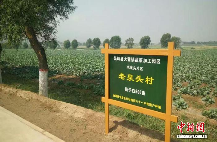 山西繁峙探索现代农业发展模式，推进乡村振兴实践。繁峙县农业农村局供图 