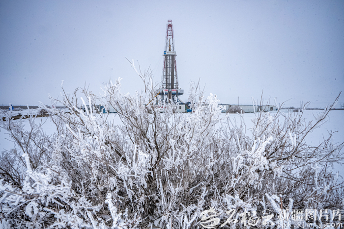 “磨刀石里榨油”的戈壁传奇