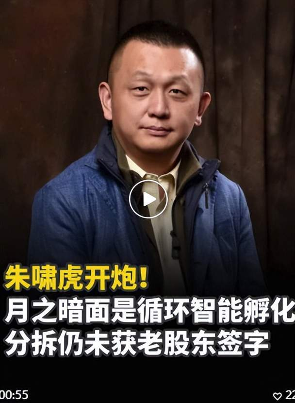 来源：“智东西”视频号截图
