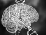 科学家发现首个可直接引发精神疾病的基因