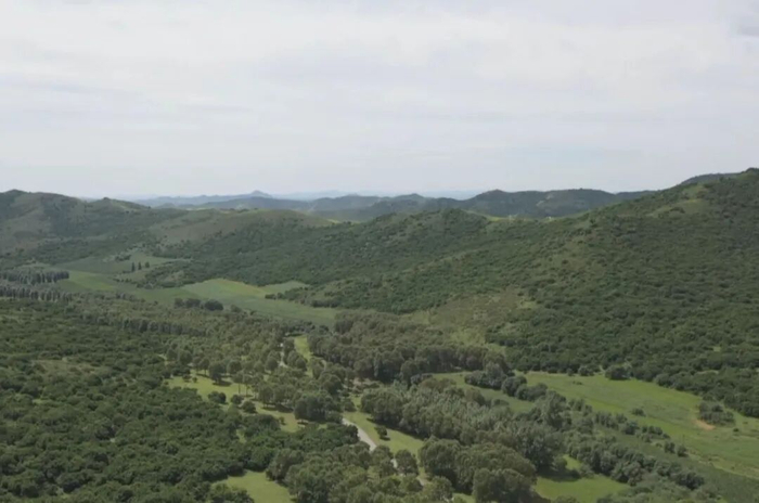 　　内蒙古兴安盟阿尔山市碳汇开发样地。文涛 摄