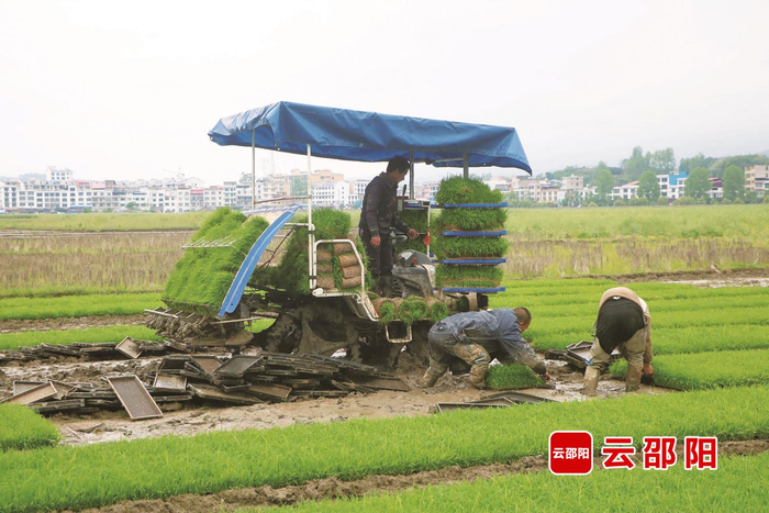 图为西岩镇春耕备耕场景。