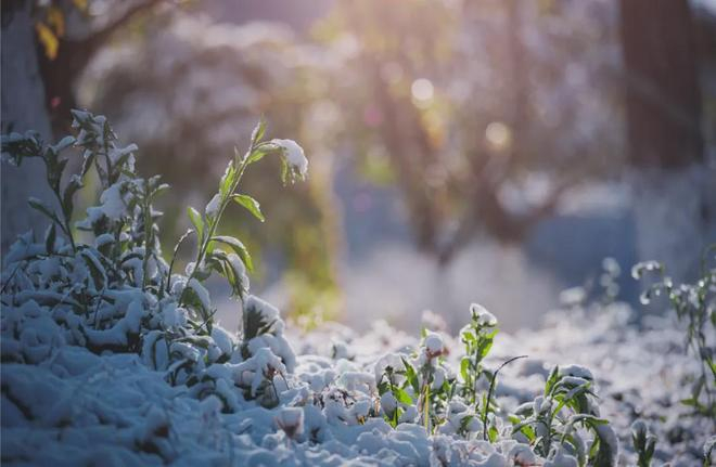 ▲西昌卫星发射中心雪景