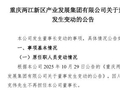 【江北嘴发布】谢静任重庆两江产业集团董事长
