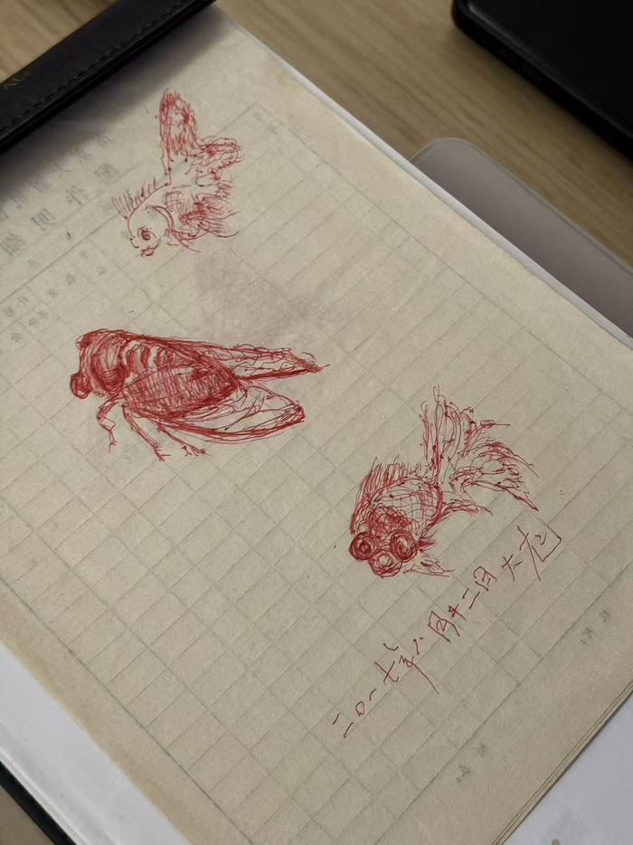 　▲常志强的画署名“大龙” 红星新闻记者陈馨懿 摄