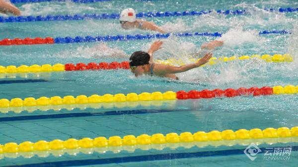 云南选手奋“泳”向前 许卓晧 摄