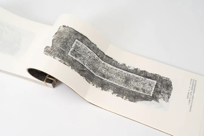 　　编：南京城墙保护管理中心