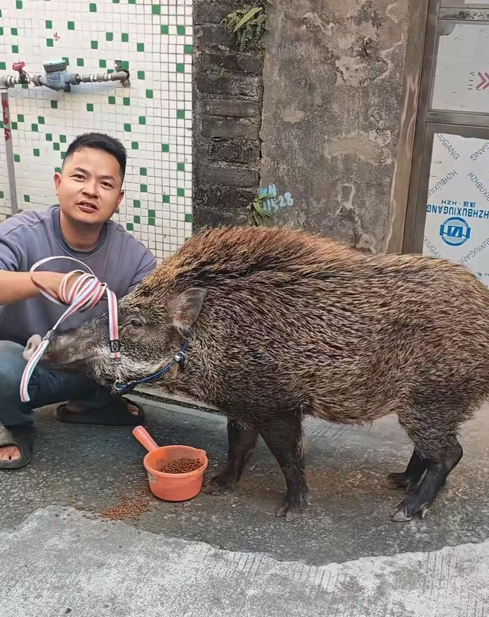 　　罗先生和面条（视频截图）