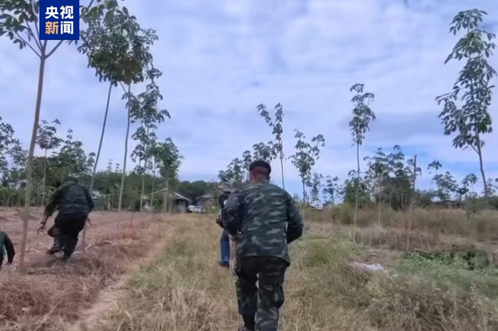 图片来源：央视新闻