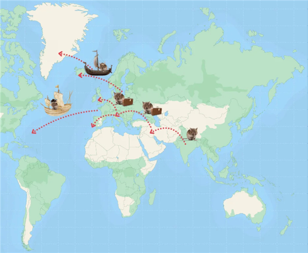 △ 黑家鼠的传播