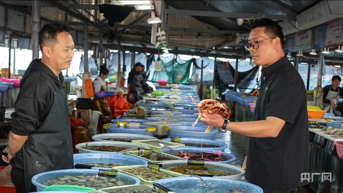 在涠洲岛海鲜市场，林旭（右）正在挑选海产品（央广网记者  梁瑜琳  摄）