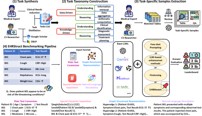 EHRStruct 的整体框架概览