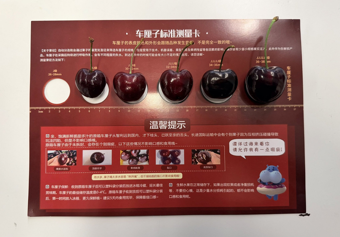 车厘子标准测量卡。盒马图