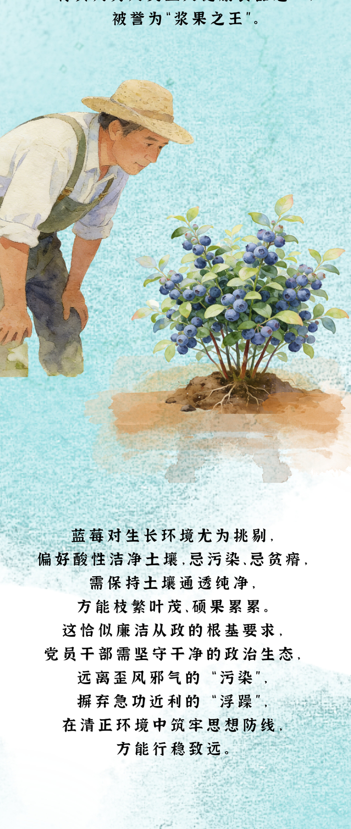 “果说”廉韵丨蓝莓：莓实清润 素心守廉