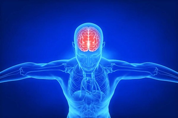 图库版权图片，转载使用可能引发版权纠纷