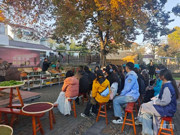 沉浸式乡村体验活动现场（央广网记者  王锡斐  摄）