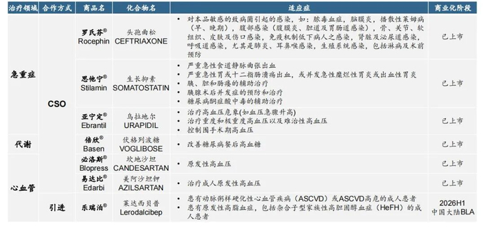 ▲CSO及授权合作产品