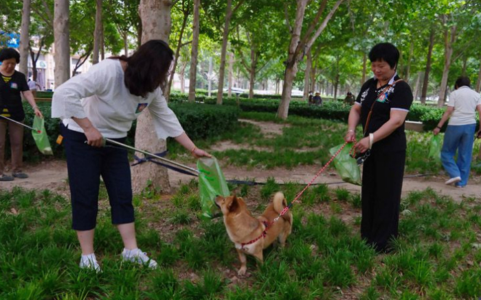 ▲社区居民清理花园里的宠物粪便。新京报记者 郭延冰 摄