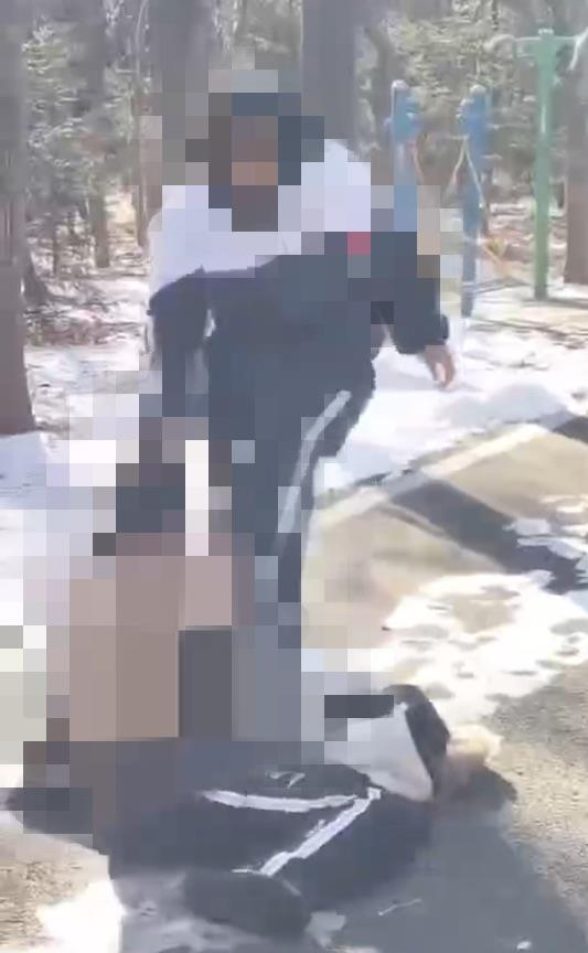 齐某婷动手殴打马女士的妹妹（视频截图）