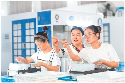 李洪梅（中）在指导员工加工手机膜。陈 杰摄