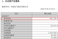 刚扭亏就欲“蛇吞象”？中能电气超8亿元跨省收购三家电企背后
