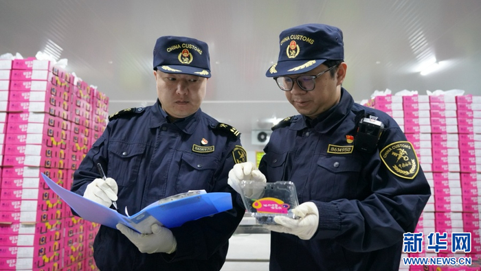 蒙自海关正在对蓝莓进行抽检，检测通过后的蓝莓将出口至马来西亚等国家（资料图）。新华网发（陈文刚 摄）