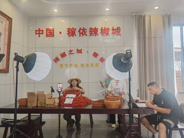 亚飞公司正在进行直播带货 虎恩列 摄