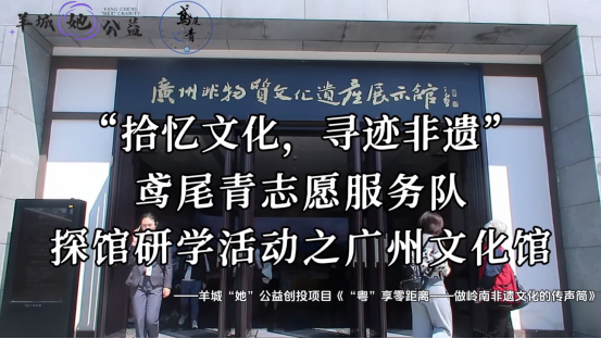 图为项目宣传成果展示