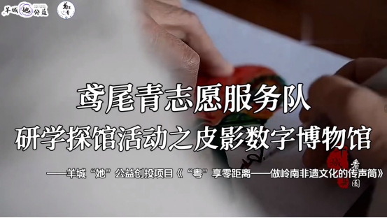 图为项目宣传成果展示