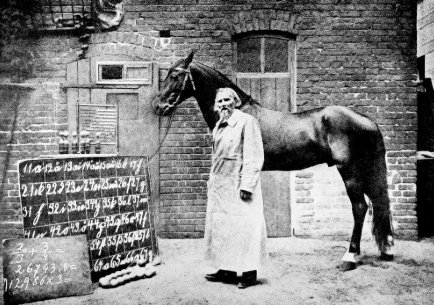 20世纪初的德国马——聪明汉斯，似乎能算数学——但实际上是对训练师细微提示的反应，典型的误解表现。