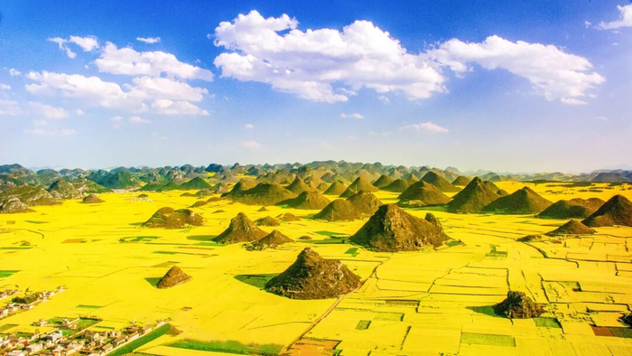 罗平万亩油菜花 图源：曲靖发布
