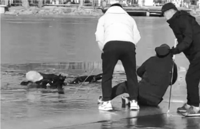         众人接力营救落水老人。 受访者供图