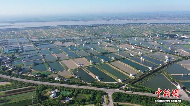 宜都清江鲟鱼谷渔光一体室内工厂化养殖车间。周重雨 摄