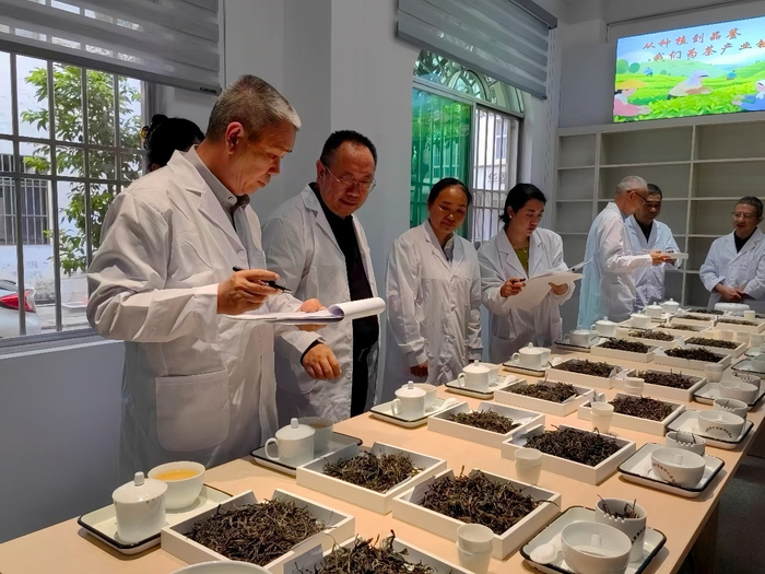在双江茶叶检测品荐溯源中心，评审专家严格按照国家标准对茶样进行评定。