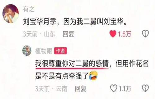 图源网络。