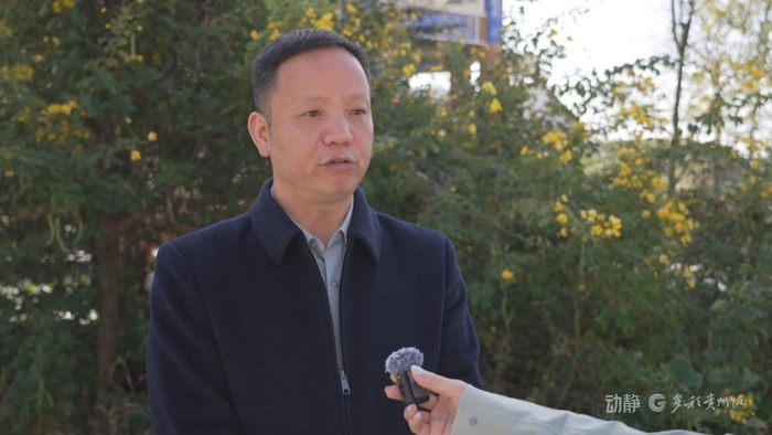 黔南布依族苗族自治州都匀市交通运输局副局长 陈益立