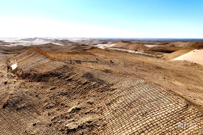 民勤沙咀墩治沙造林示范区  麦草方格牢牢缚住沙丘（央广网发  马爱彬  摄）