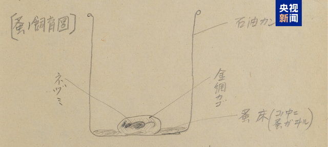 加藤恒则笔供中的跳蚤饲养装置示意图