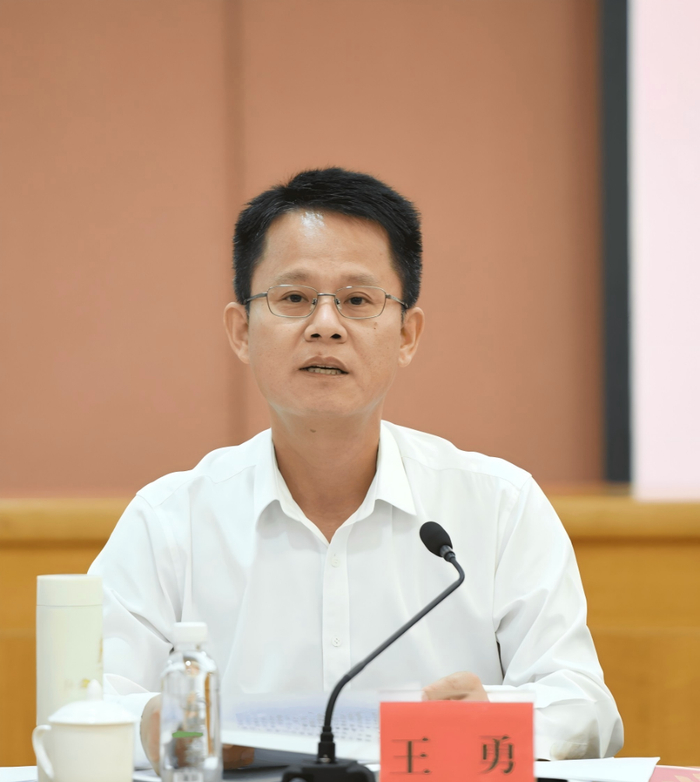 南海区委书记王勇。 图片来源：南方都市报