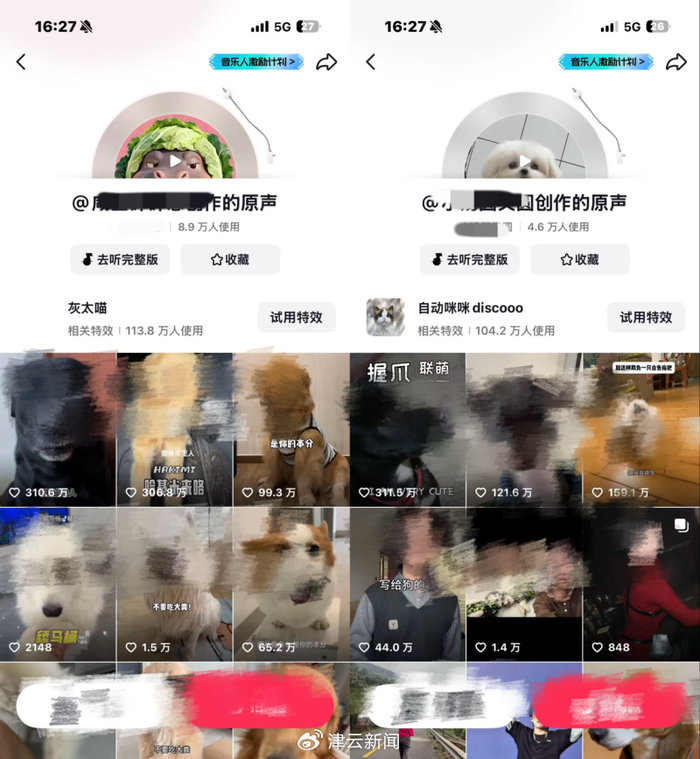 ​松松提供的截图