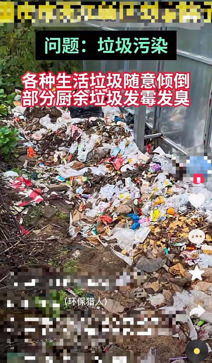 环保猎人发布的曝光视频。图源：网络截图