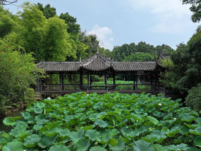 眉山市东坡区百坡亭