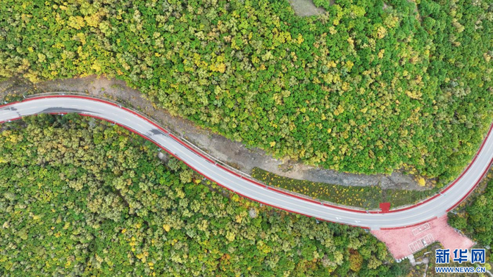 　　2025年9月，内蒙古自治区扎兰屯市区通往卧牛河镇五星村公路与青山、绿树交相辉映，美景如画。新华网发（韩颖群 摄）