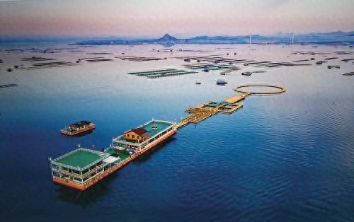 鸟瞰深远海养殖海上牧场。 资料图