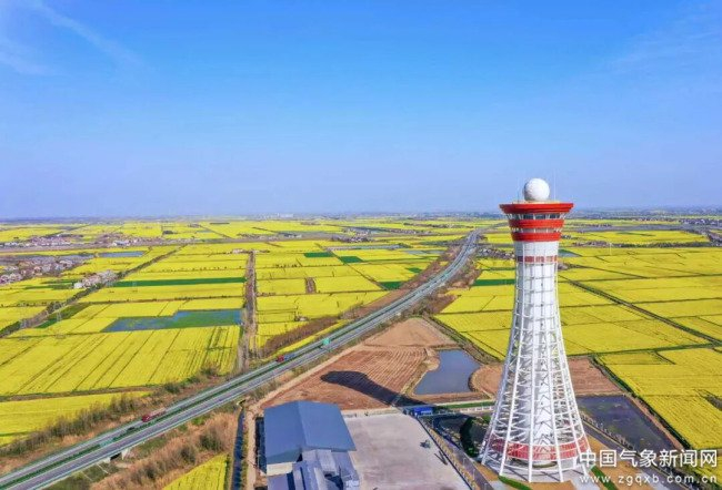 　　矗立在油菜花海的荆州S波段新一代天气雷达 湖北省气象局供图