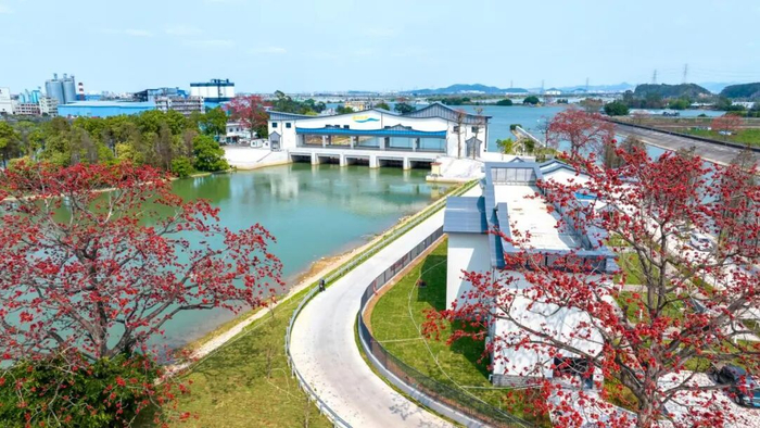 睦洲水闸。黄艳婷摄