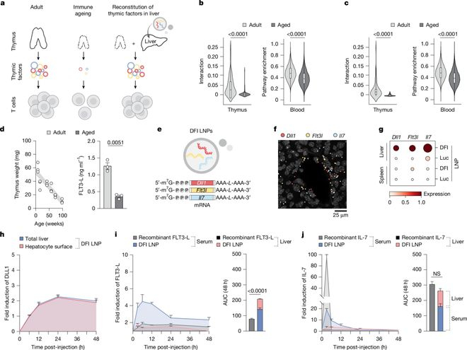 （来源：Nature）